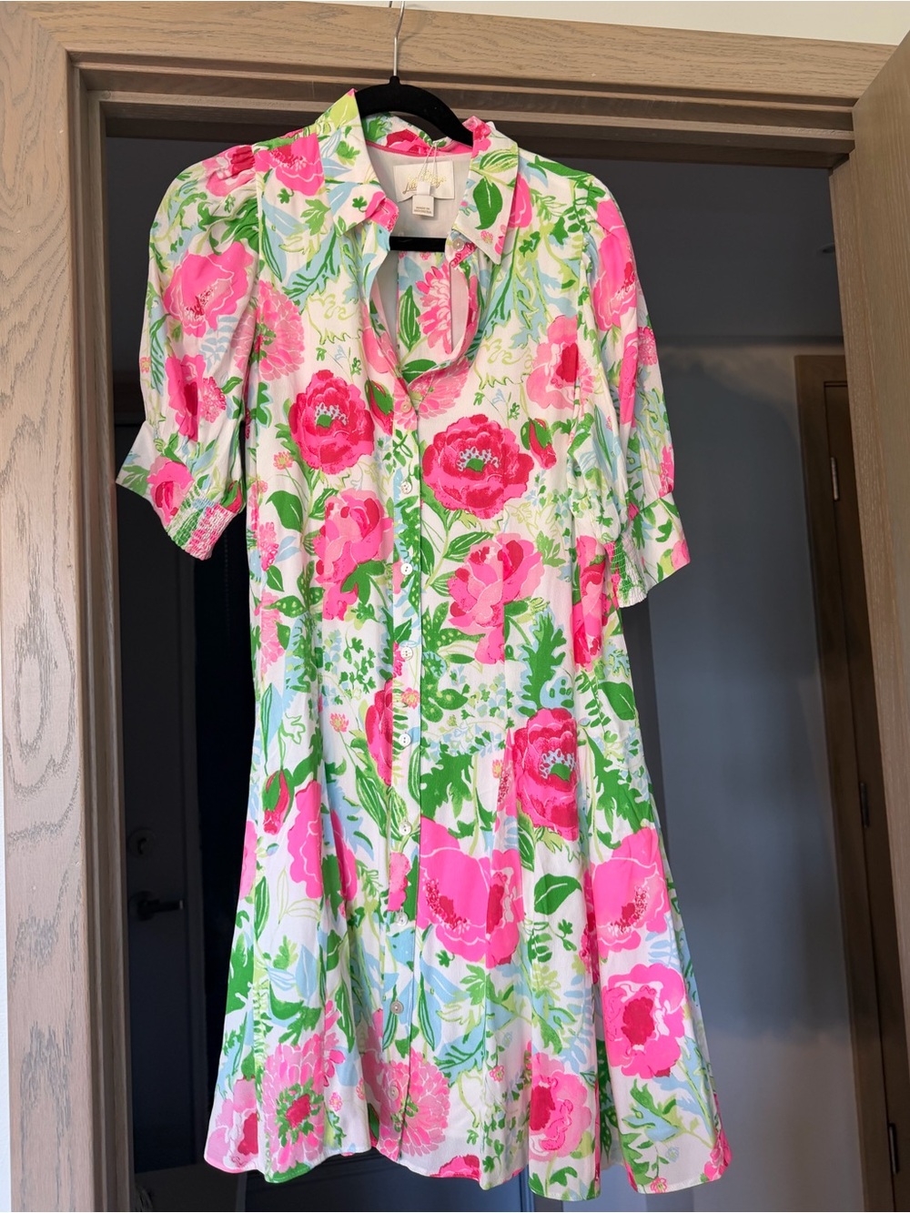 New Lily Dress with tags - Picture 1 of 3